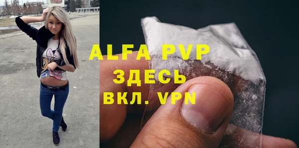 индика Липки