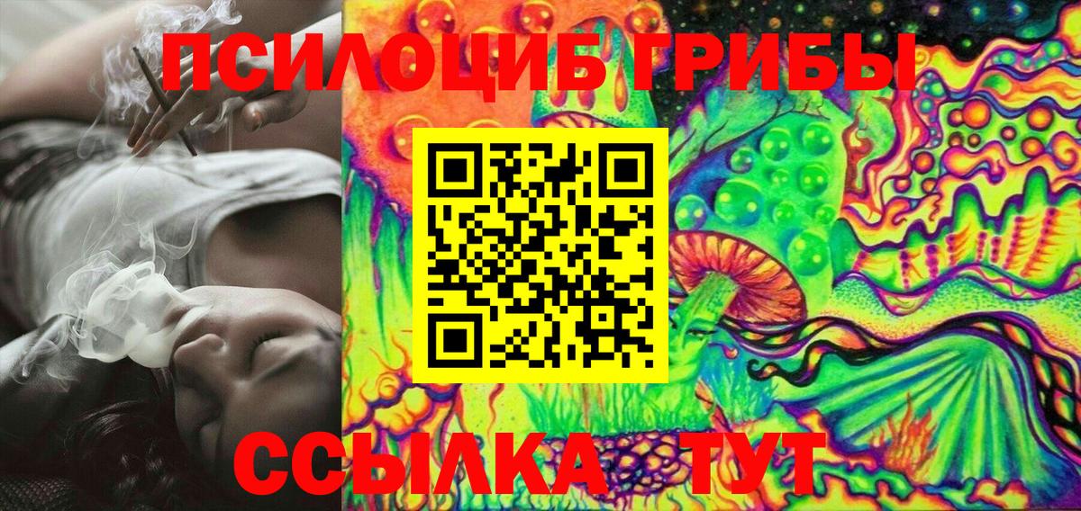 Псилоцибиновые грибы мухоморы  Псилоцибиновые грибы Cubensis  Вход с VPN  Тайшет 