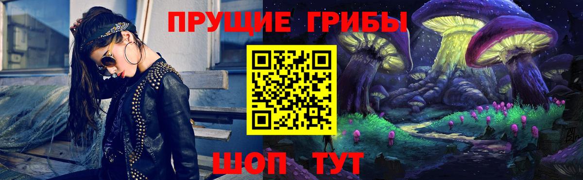 Псилоцибиновые грибы Psilocybe Тайшет